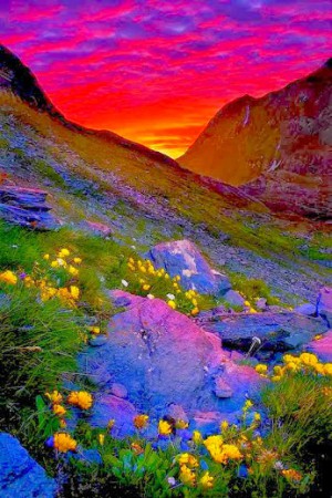 IL  FUOCO  DELL'AMORE